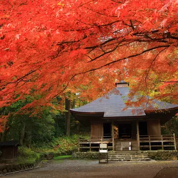 Chūson-ji in Hiraizumi. yspbqh14 / Shutterstock