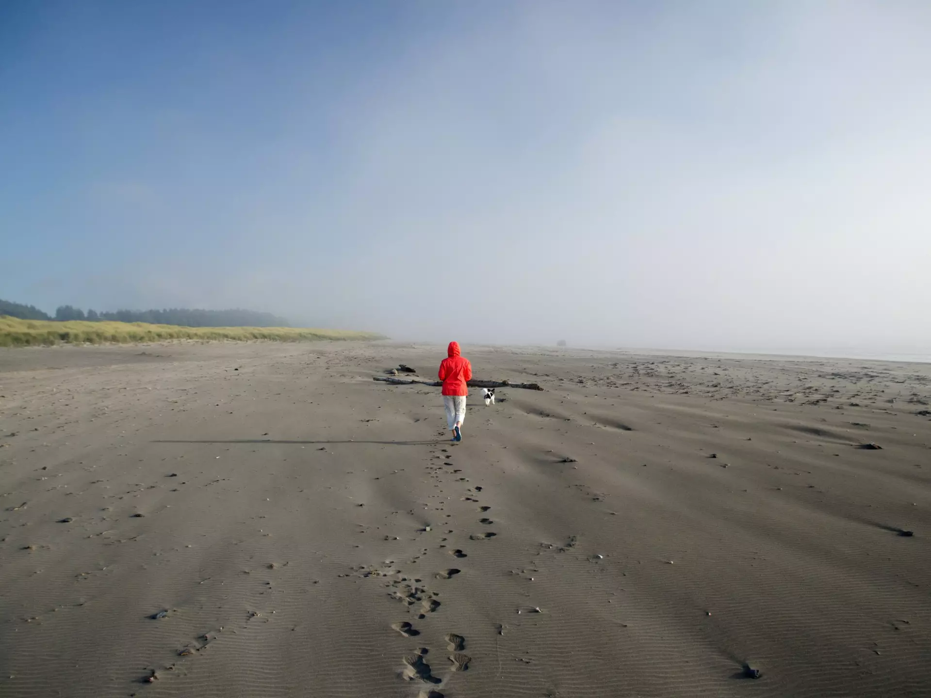 A white-coated beachgoer walks along at brown sands of Seaview, on Long Beach peninsula, Washington