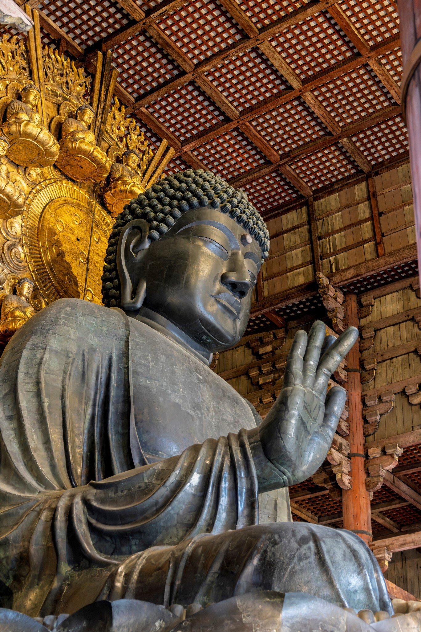 Nara, Japan - March 28, 2025: Beautiful large buddha in Todai-ji Daibutsuden (Great Buddha Hall) in Nara, Honshu island in Japan, License Type: media, Download Time: 2026-02-05T10:26:31.000Z, User: aniabartoszek, Editorial: true, purchase_order: 56530 - Guidebooks, job: Global Publishing-WIP, client: Experience Japan 3, other: Ania Lenihan