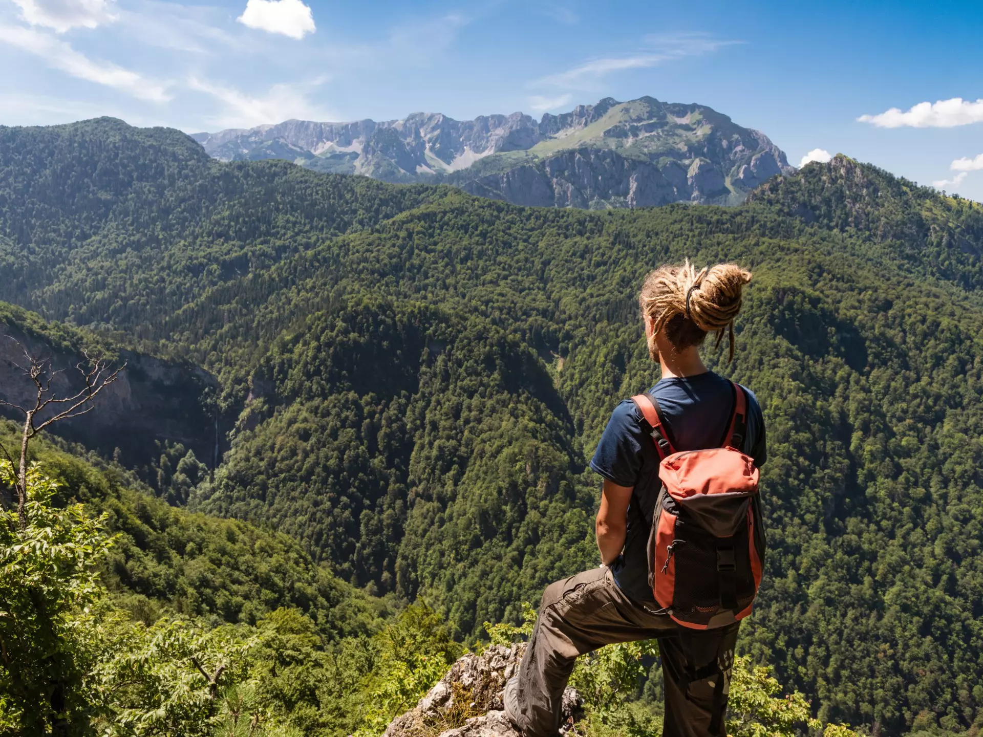 Looking out over the pristine forest of Sutjeska National Park. Jean-Philippe Tournut / Getty Images