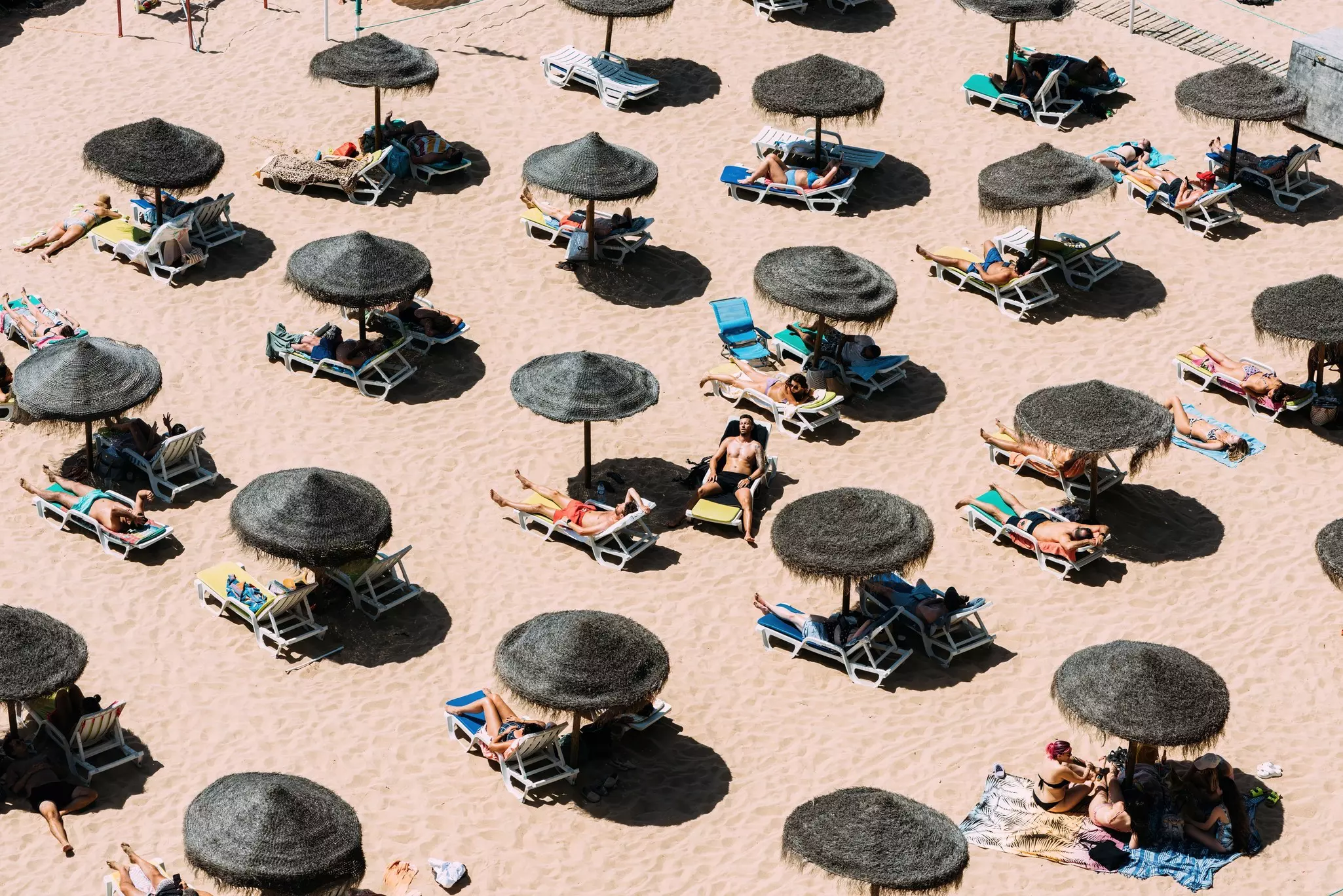 People sunning on a beach under strawlike black umbrellas arranged at even intervals on the sand