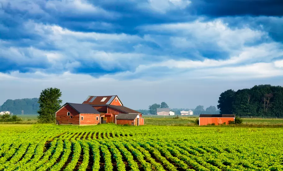 Red wooden barns and outbuildings beside long green rows of soybeans under heavy blue storm clouds in rural Indiana farmland