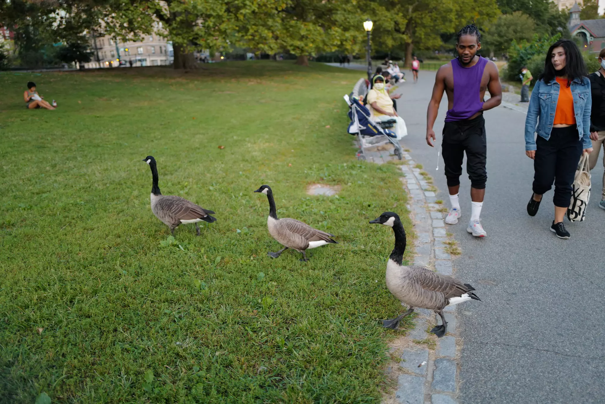 The northern tip of Central Park – Harlem’s backyard – is a hidden gem © CHOONGKY / Shutterstock