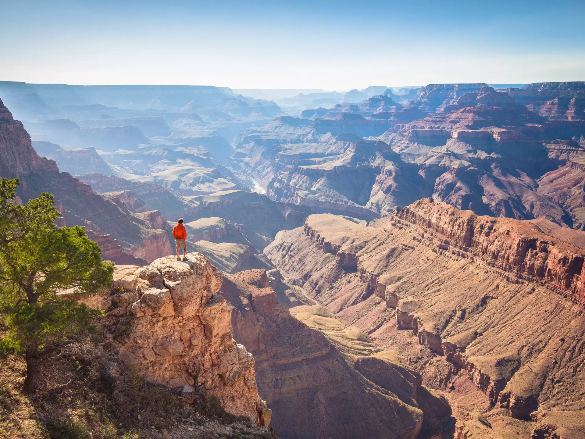 A male hiker is standing on a steep cliff taking in the amazing view over famous Grand Canyon on a beautiful sunny day with blue sky in summer, Grand Canyon National Park, Arizona, USA