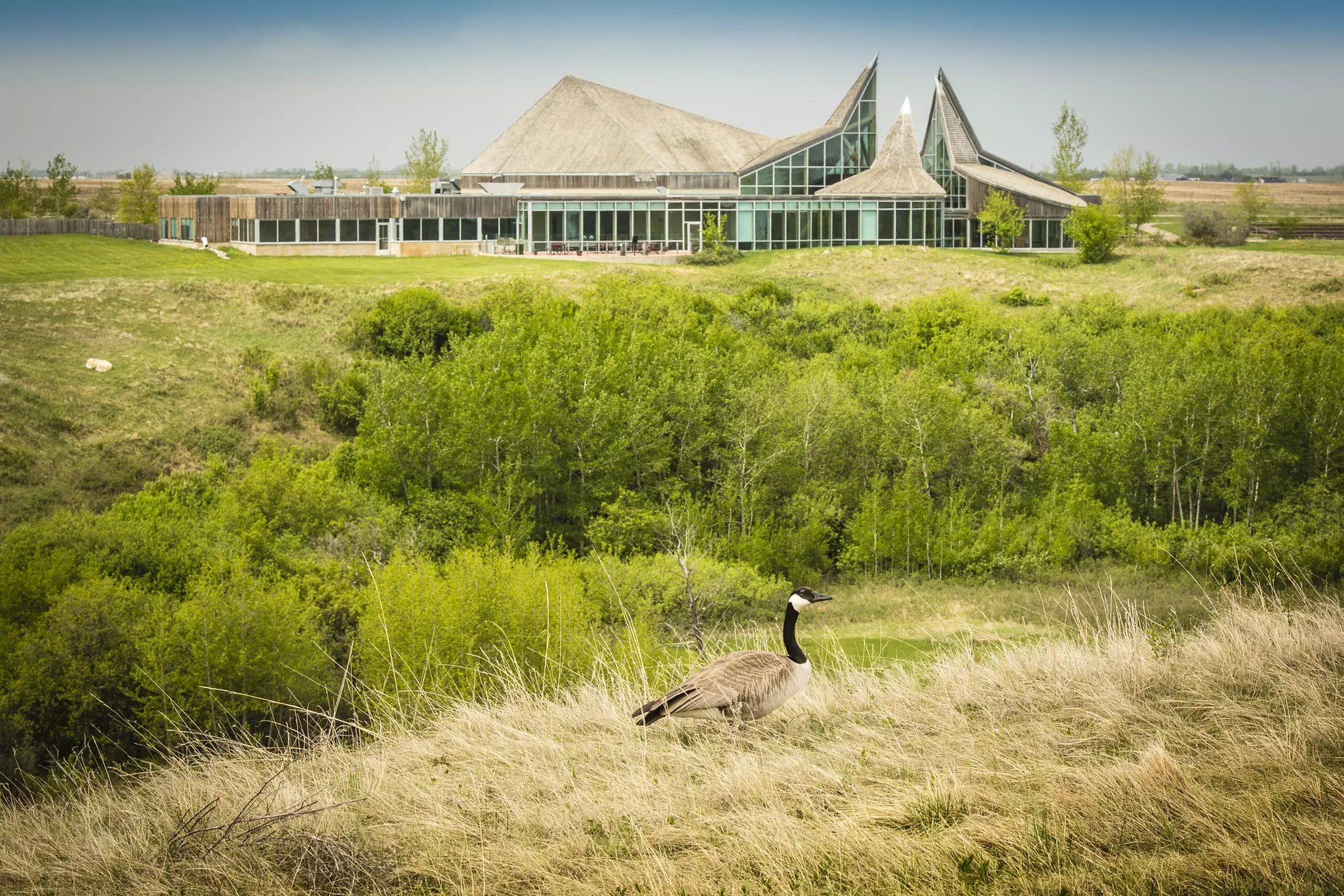 Don't miss a visit to Wanuskewin Heritage Park, near Saskatoon © sprokop / Getty Images