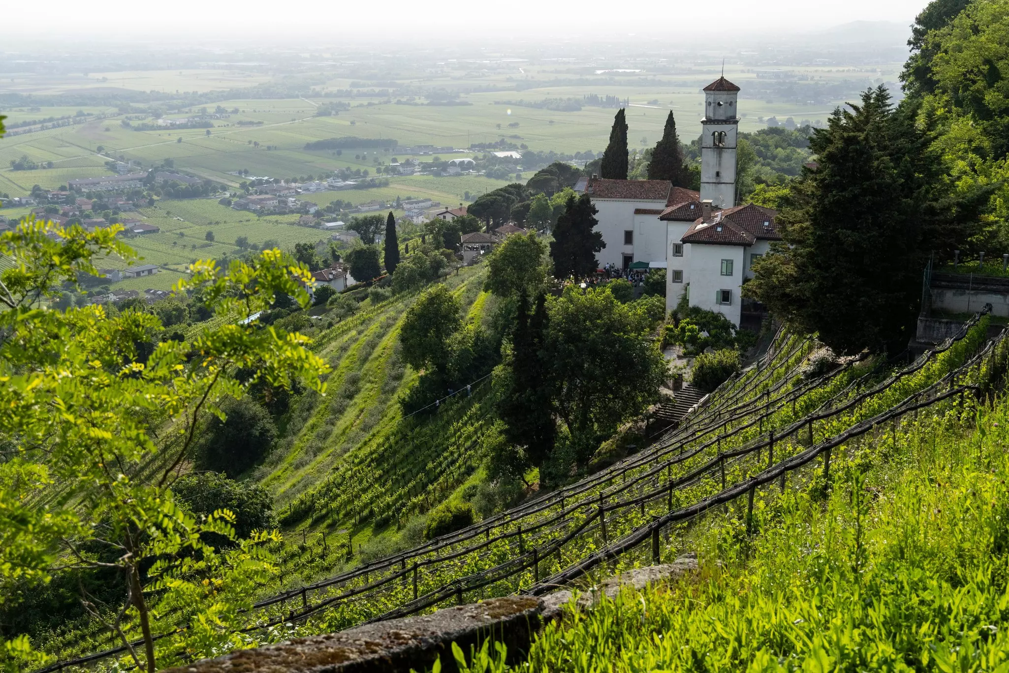 Terraced vineyards on a hill descend to a valley below. A white church is perched on the hillside behind the vineyards.