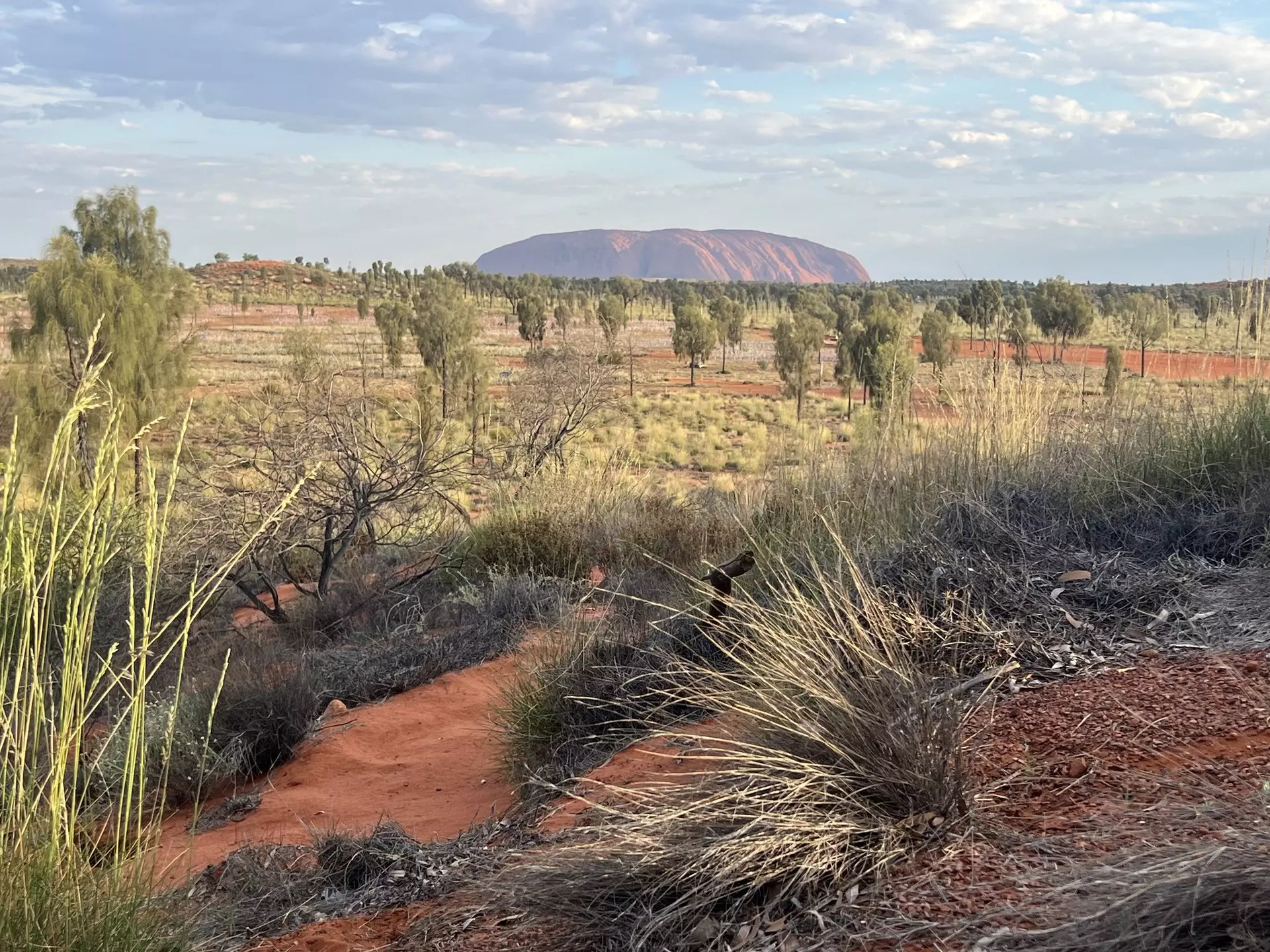 Plan your visit to Uluru and beyond with this guide to Australia's Red Centre. Jessica Lockhart for Lonely Planet
