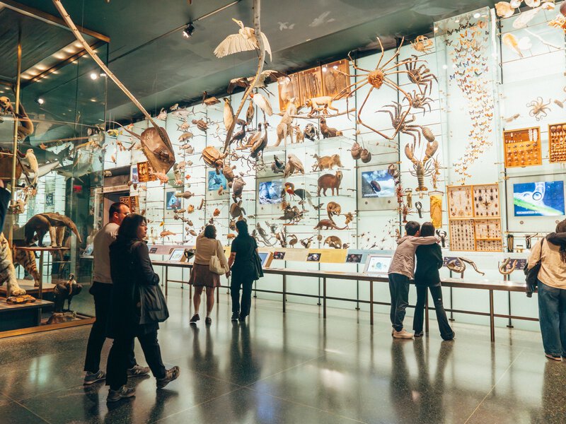 Interior of the Theodore Roosevelt Hall of Biodiversity in the Natural History Museum (American Museum of Natural History). Upper West Side, Manhattan, New York City.