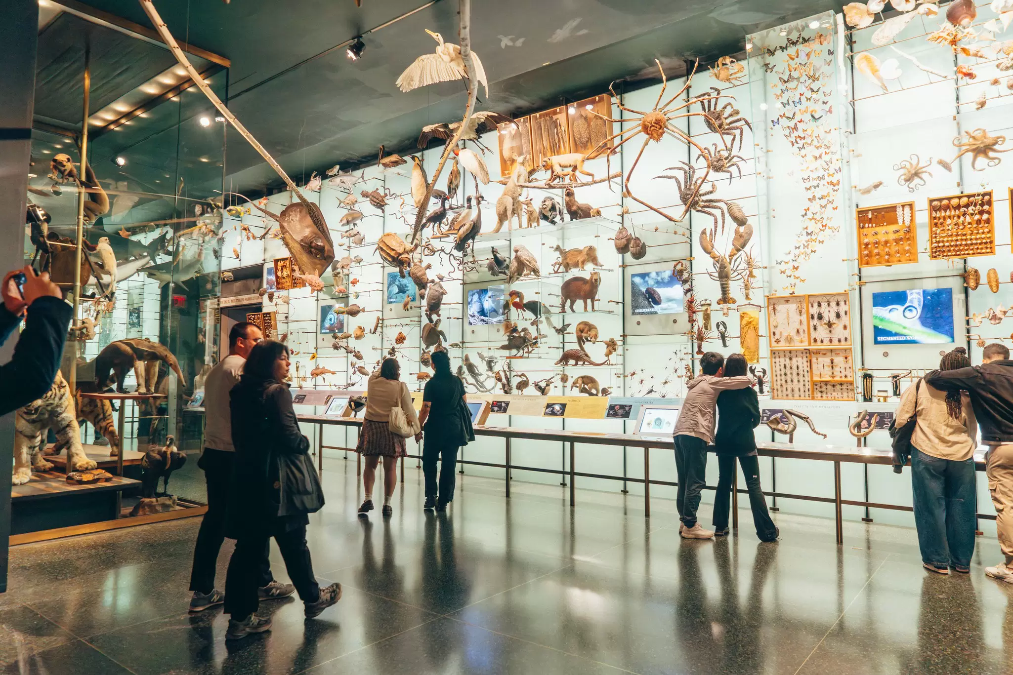 American Museum of Natural History