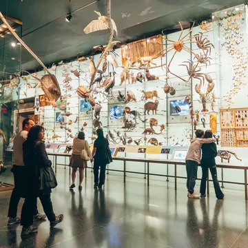 Wildlife displays at the American Museum of Natural History in Manhattan, New York City, USA.