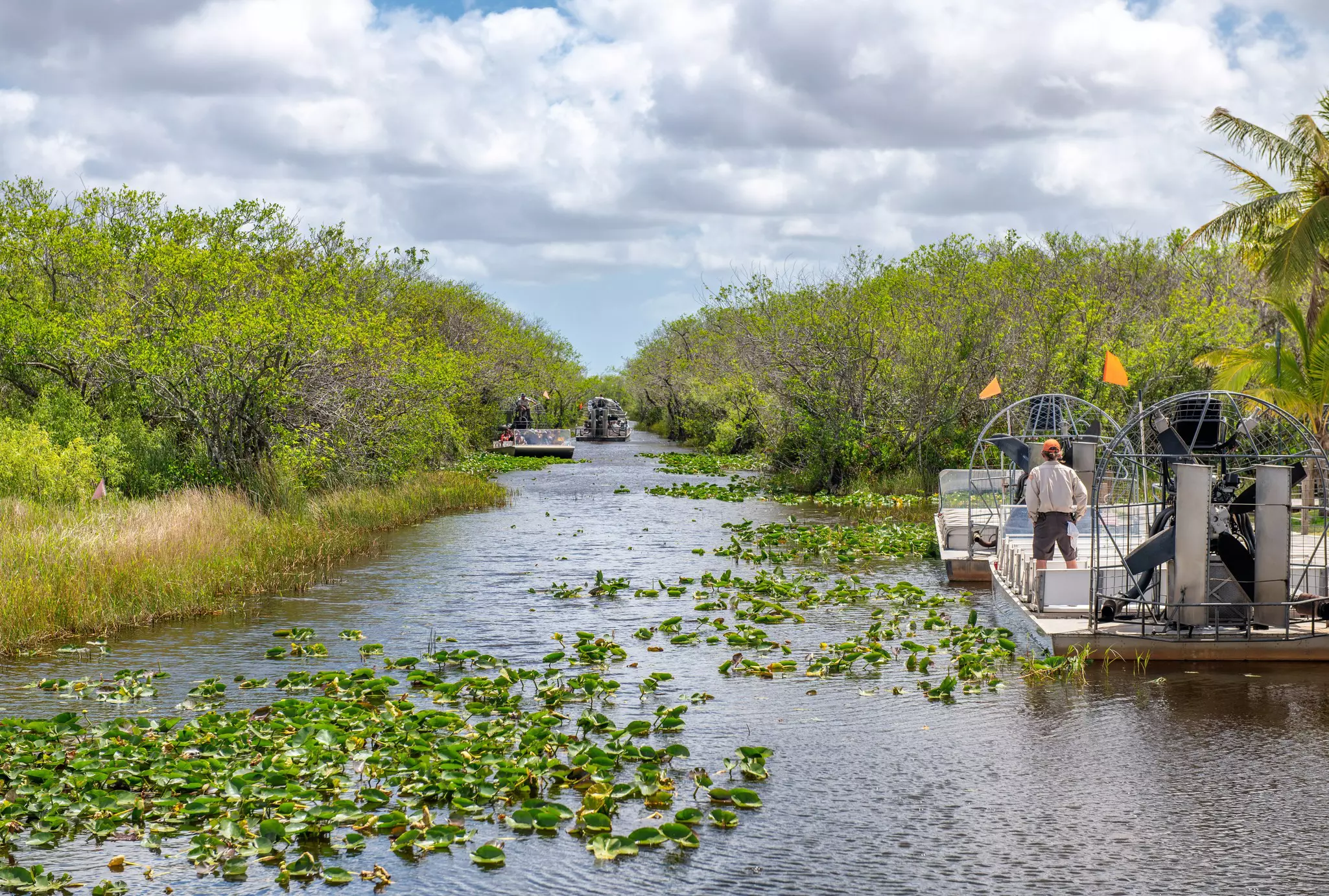 A captain stands on a flat-bottomed boat powered by a large upright fan at the back of it among mangroves and lillies.