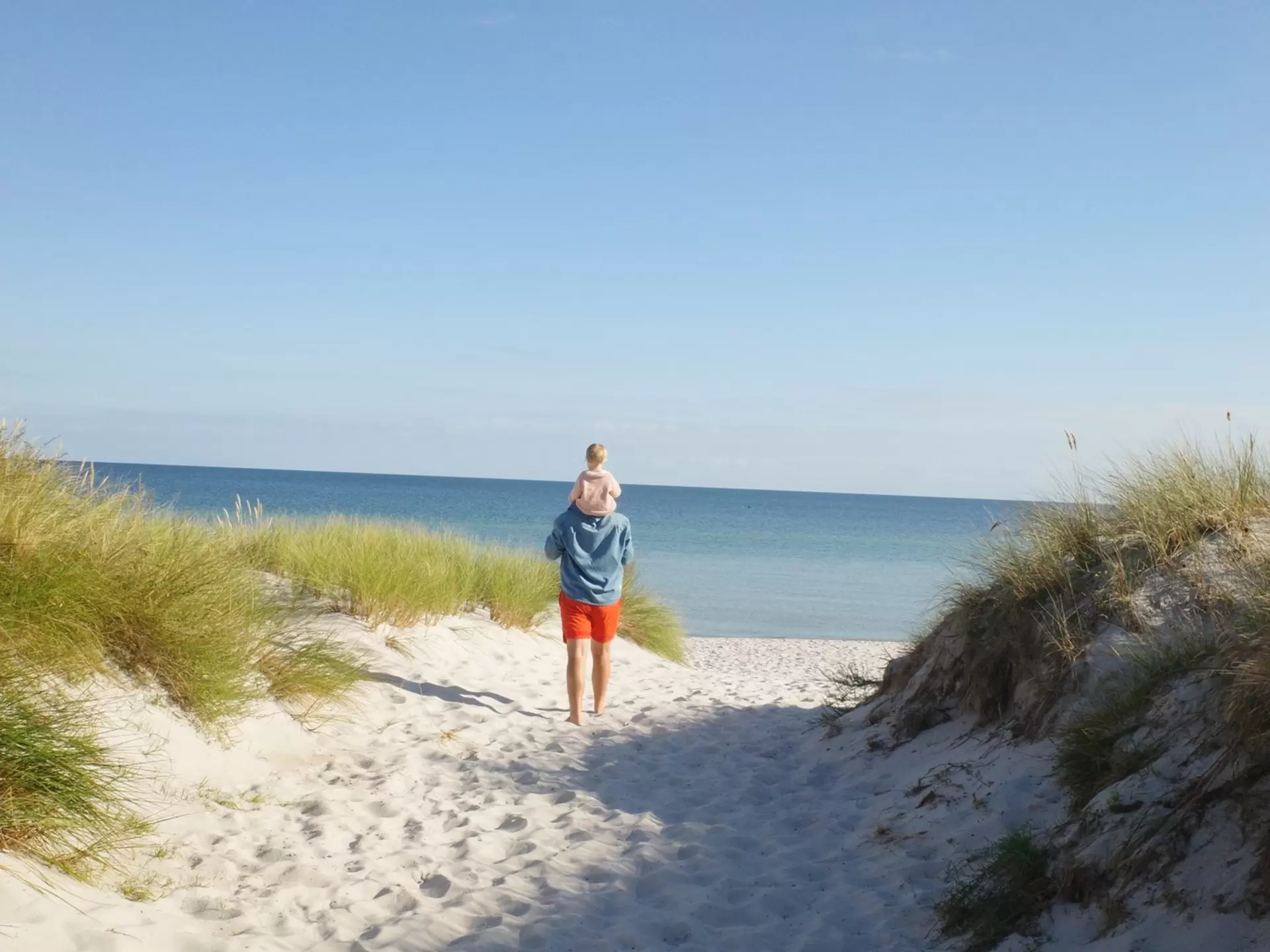 An adult with a child on their shoulders walks on a sandy dune toward blue sea.