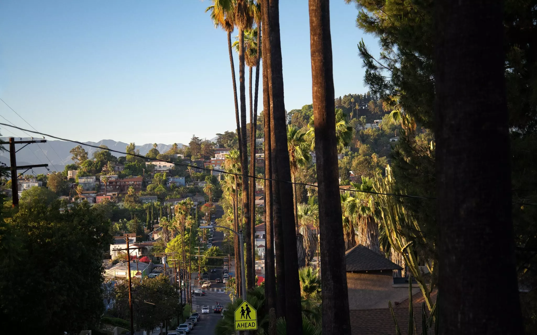 view of silverlake los angeles, License Type: media, Download Time: 2026-04-30T13:59:38.000Z, User: LP_AGabriel, Editorial: false, purchase_order: 65050 - Digital Destinations and Articles, job: Digital editorial, client: Best neighborhoods in LA , other: Acacia Gabriel 