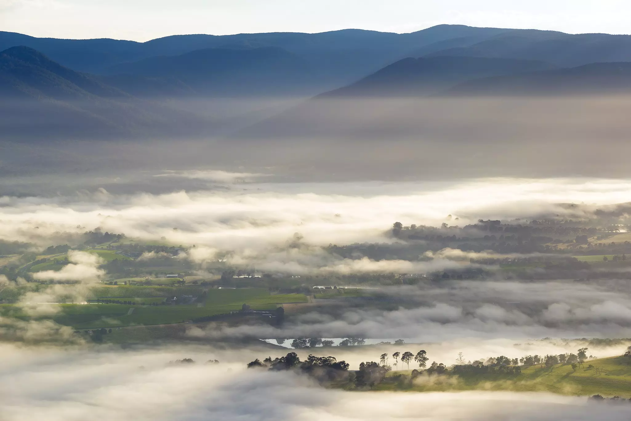 A mist rises over vineyards, field and mountains