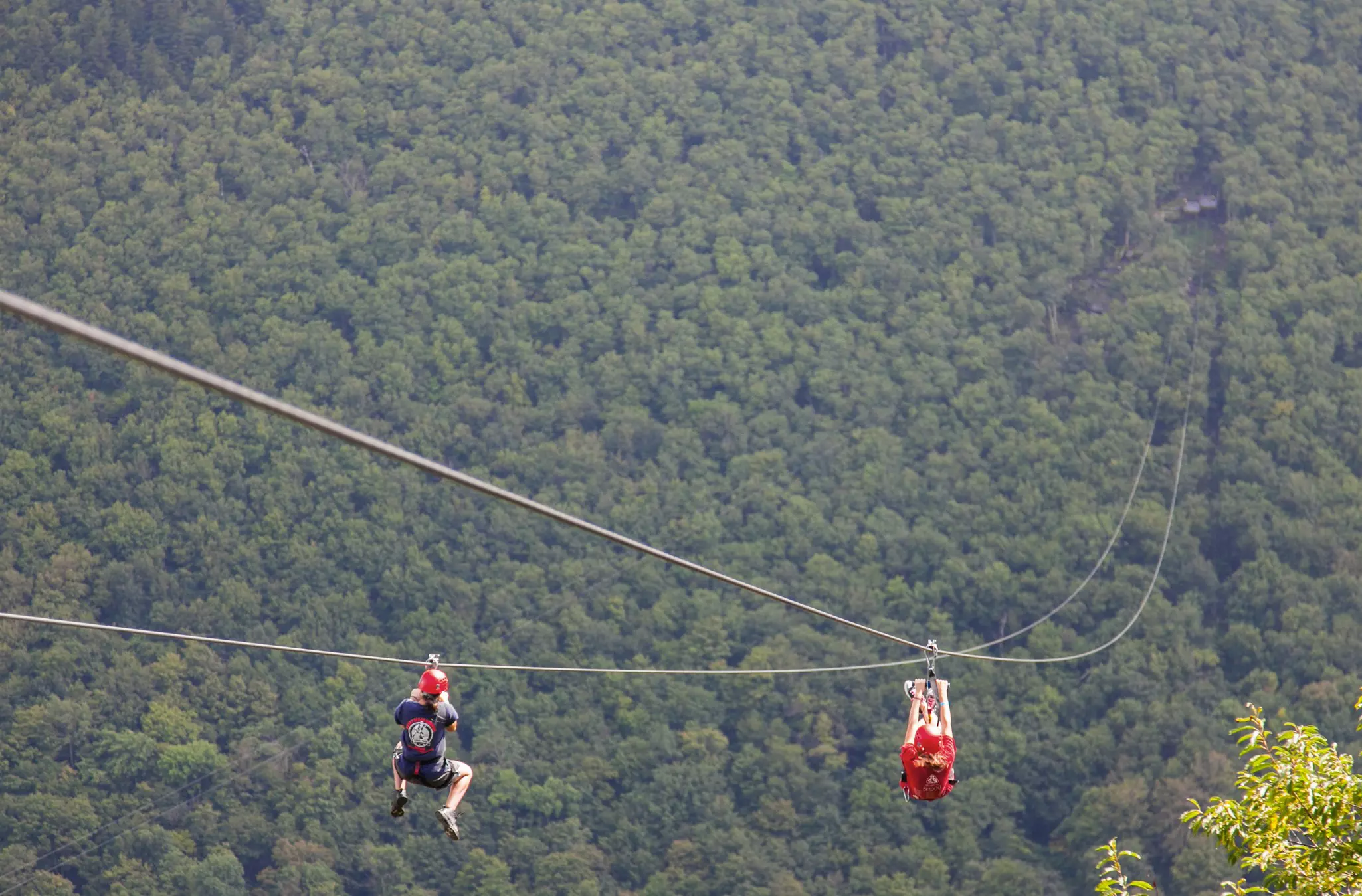 Two people zip line down a mountain into a lush forest