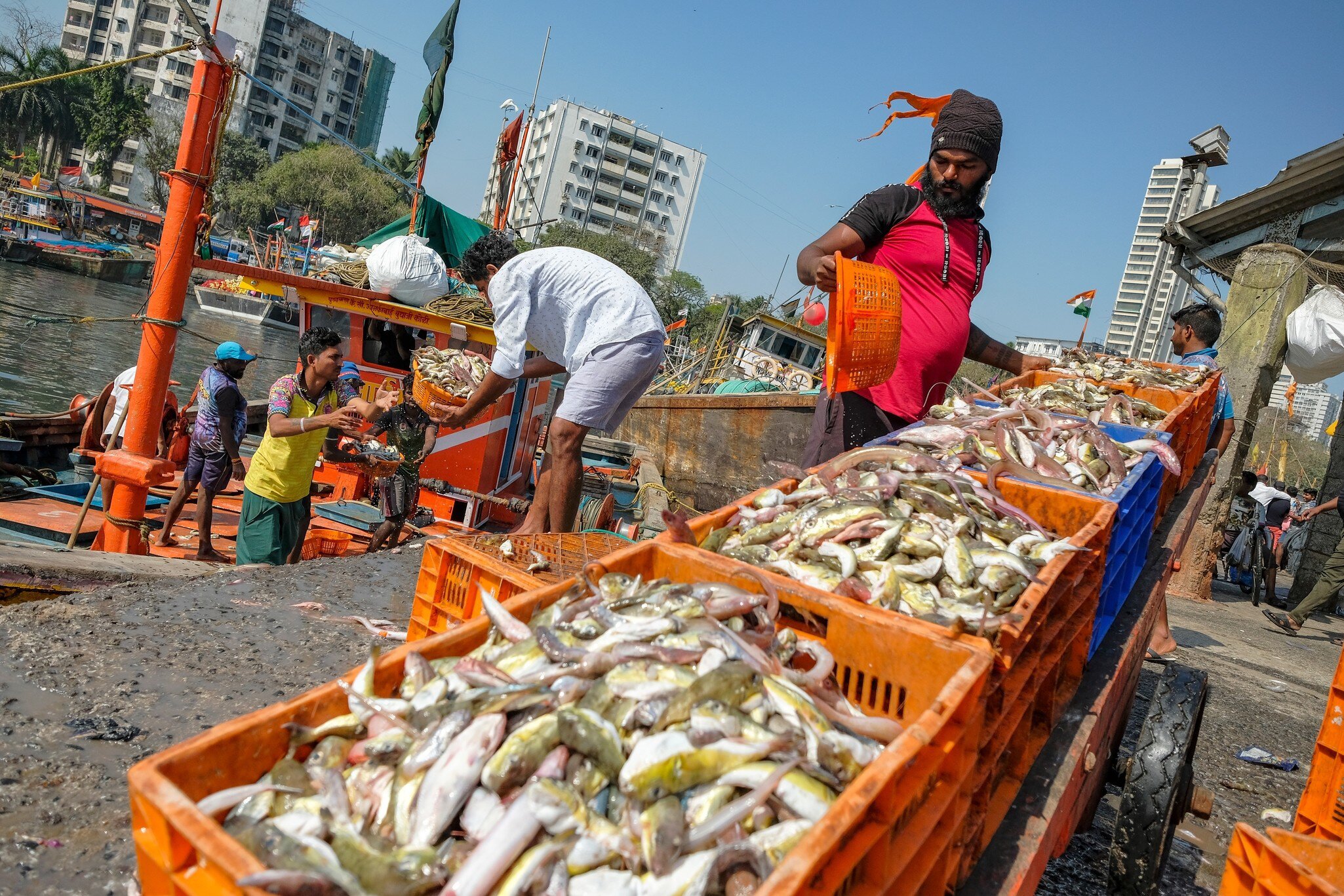 Fishermen at the Sassoon Dock in the Colaba district of Mumbai, India.