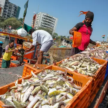 Fishermen at the Sassoon Dock in the Colaba district of Mumbai, India.