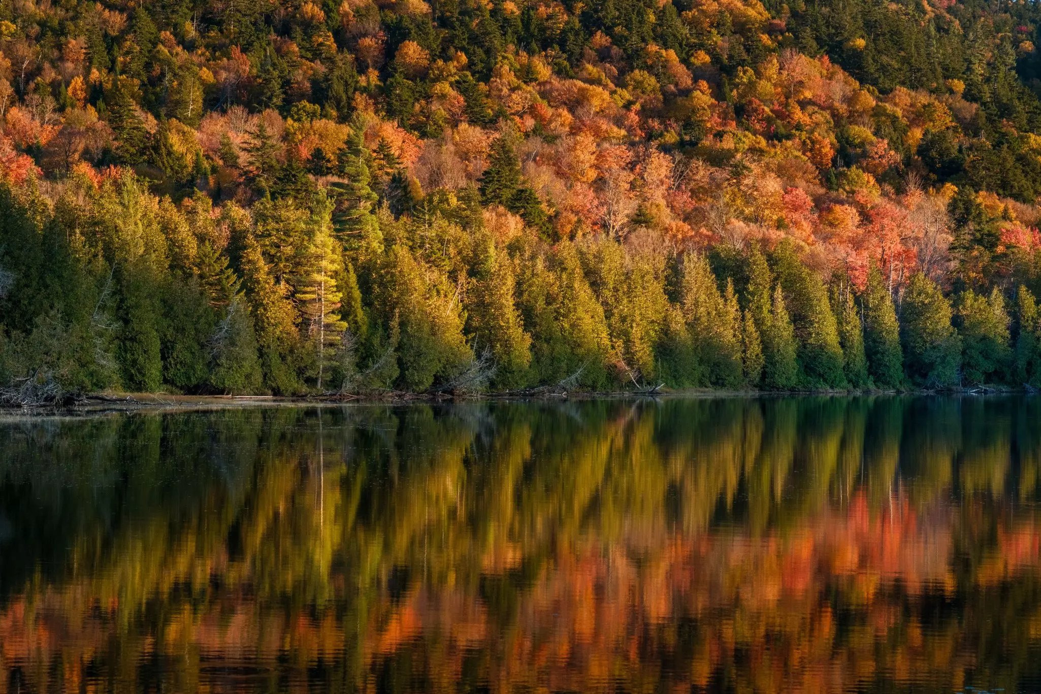Autumn colors from trees reflect in a pond.