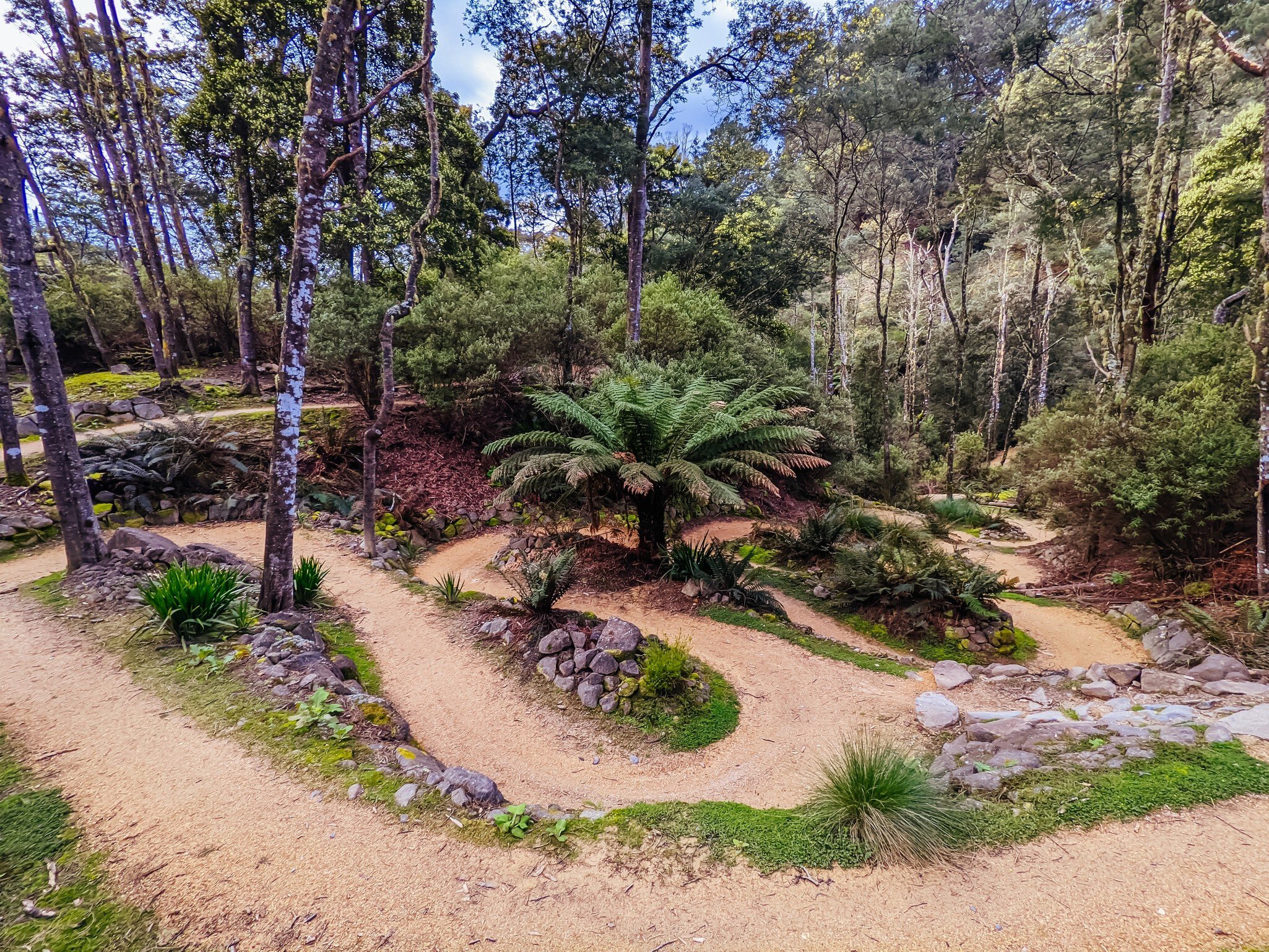  Axehead trail at the popular and Blue Derby mountain bike trail network during springtime in Derby, Tasmania, Australia.