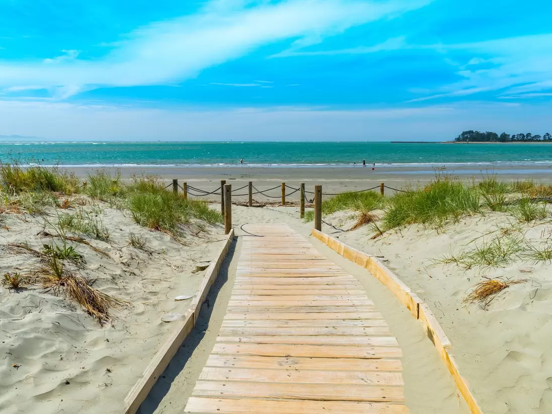 View of a wooden trail leading to Tāhunanui Beach on a sunny day in Nelson, New Zealand.