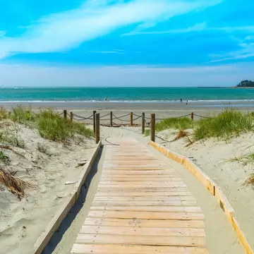 View of a wooden trail leading to Tāhunanui Beach on a sunny day in Nelson, New Zealand.