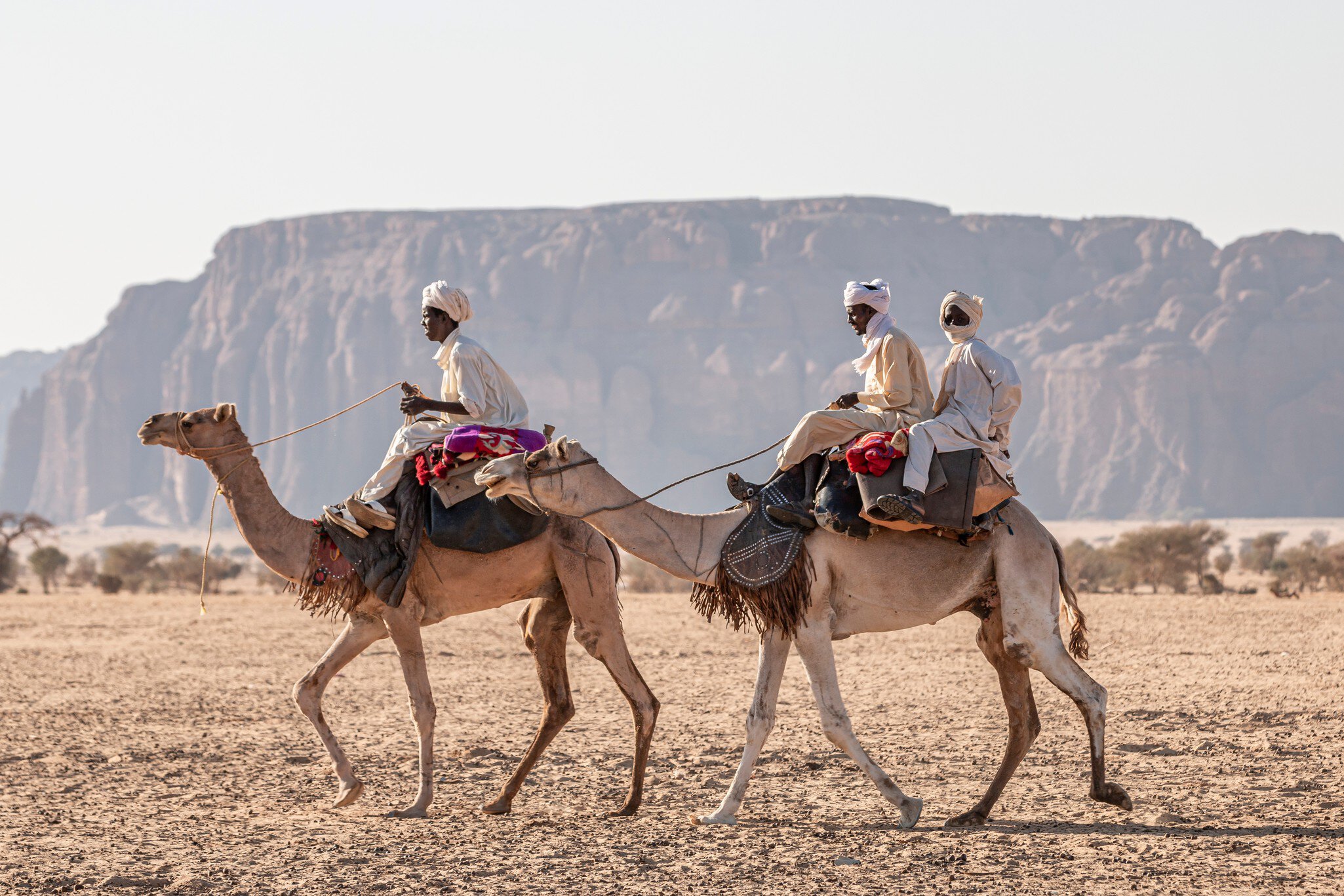 Nomad with camels in the Sahara desert, Chad, November 17, 2017; Shutterstock ID 1565647990; your: Sloane Tucker; gl: 65050; netsuite: Online Editorial; full: Destination Page
