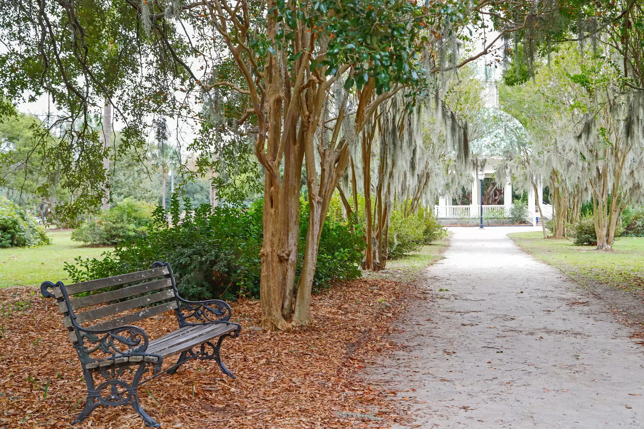 Hampton Park in Charleston, South Carolina