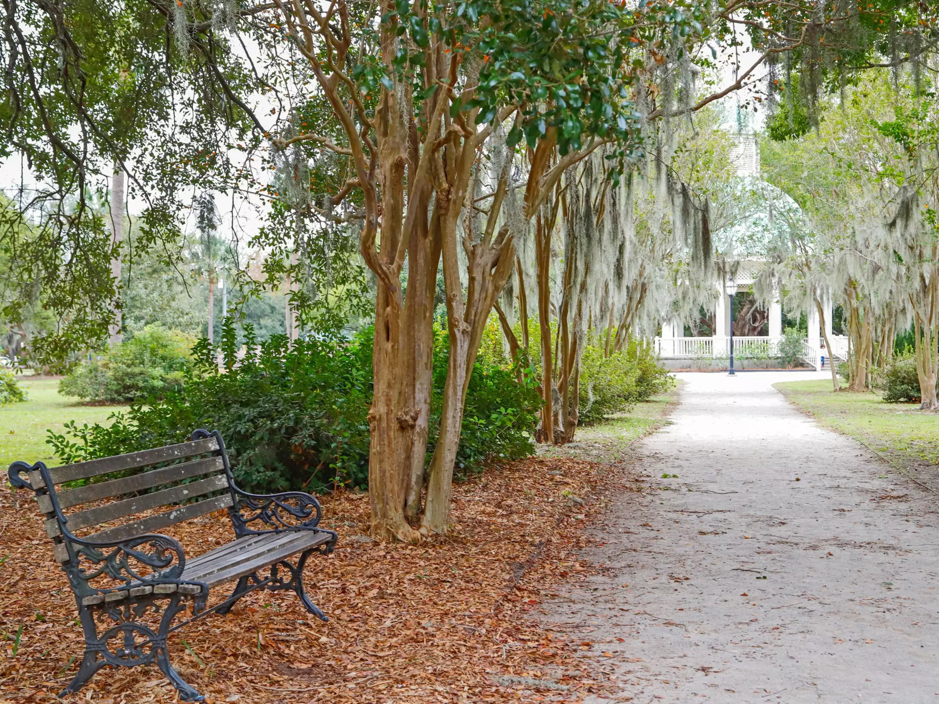 Bench by a footpath at the tranquil Hampton Park in Charleston, SC.
1185888493