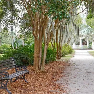 Bench by a footpath at the tranquil Hampton Park in Charleston, SC.
1185888493