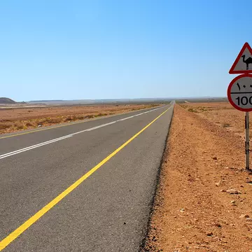 An empty paved road (with a camel crossing caution sign by the side) stretches out into the desert of Oman