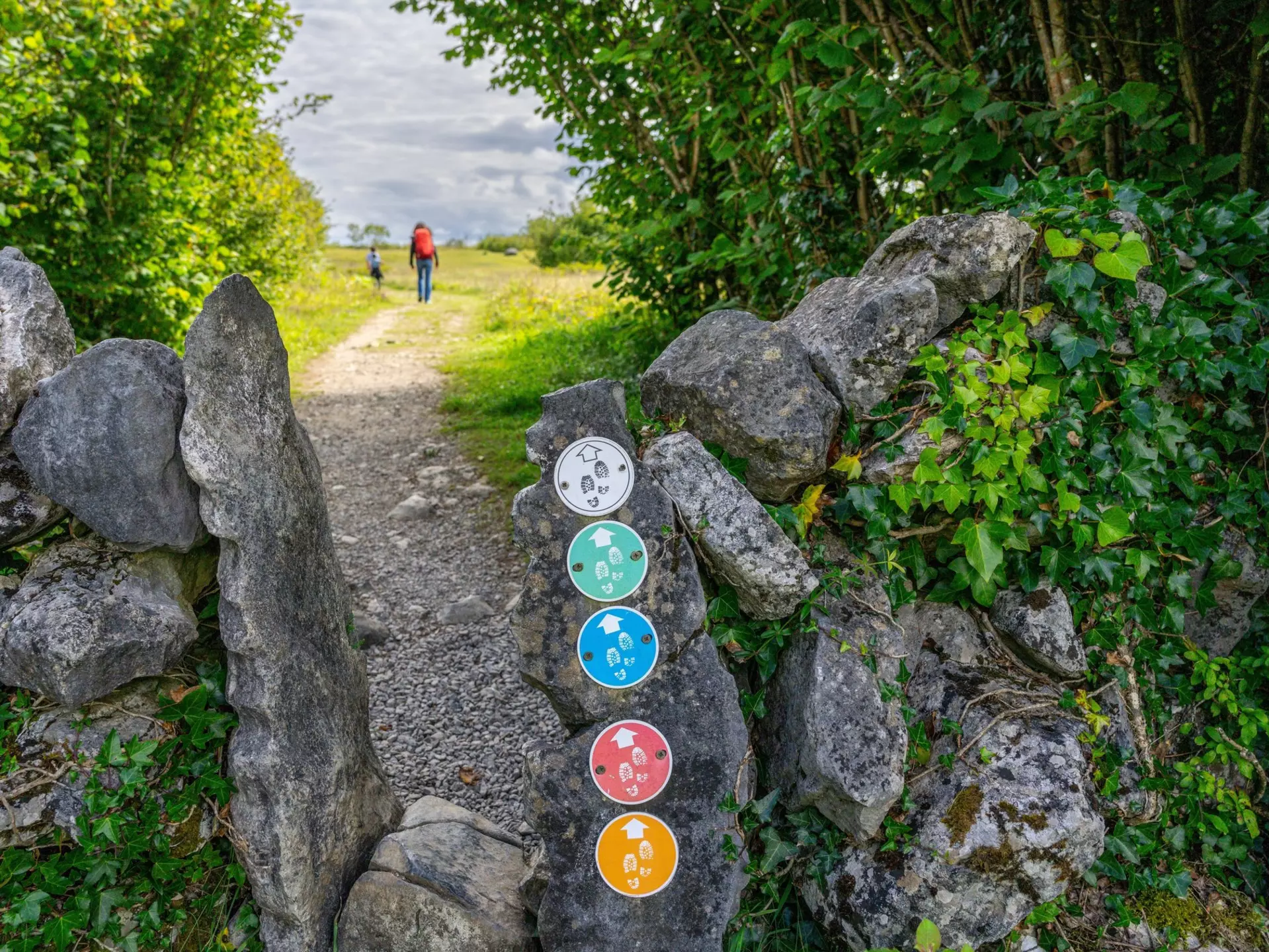 A designated walking trail through the Burren National Park, County Clare.
