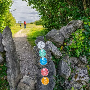 A designated walking trail through the Burren National Park, County Clare.