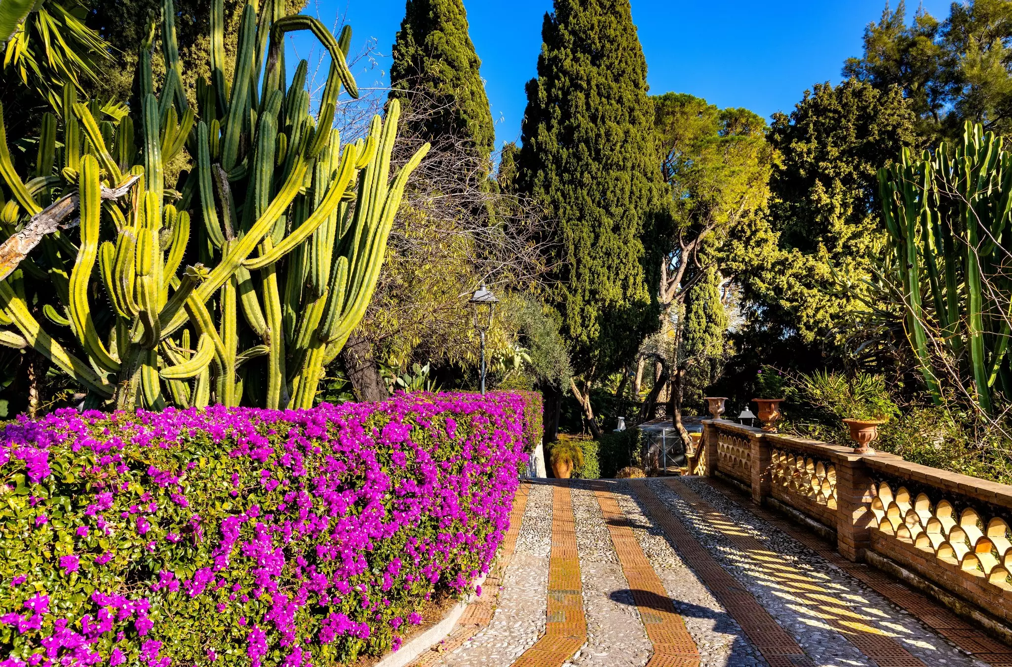 Path lined with an intricate fence on the right and manicured flowering shrubs on the left, with trees straight ahead