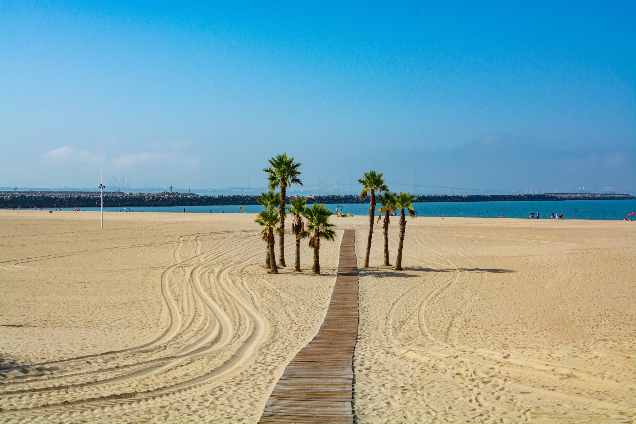Beautiful local sandy beach with palm trees Playa de la Puntilla on Atlantic ocean in El Puerto de Santa-Maria, Andalusia, Spain