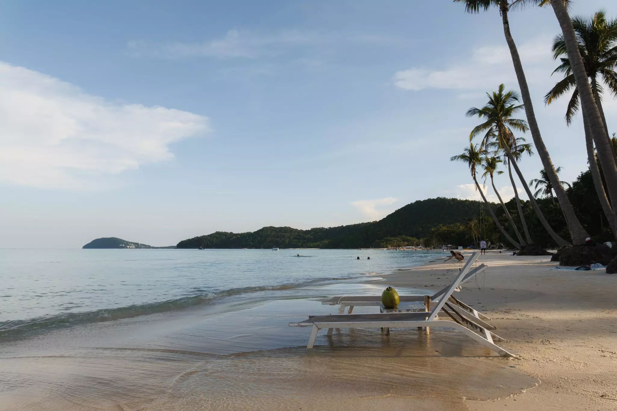 An empty stretch of palm tree-lined beach, with two empty sunloungers at the edge of the shore.
