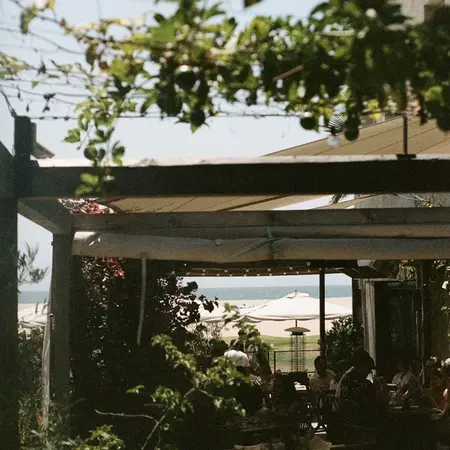 Outdoor patio at Fig Tree