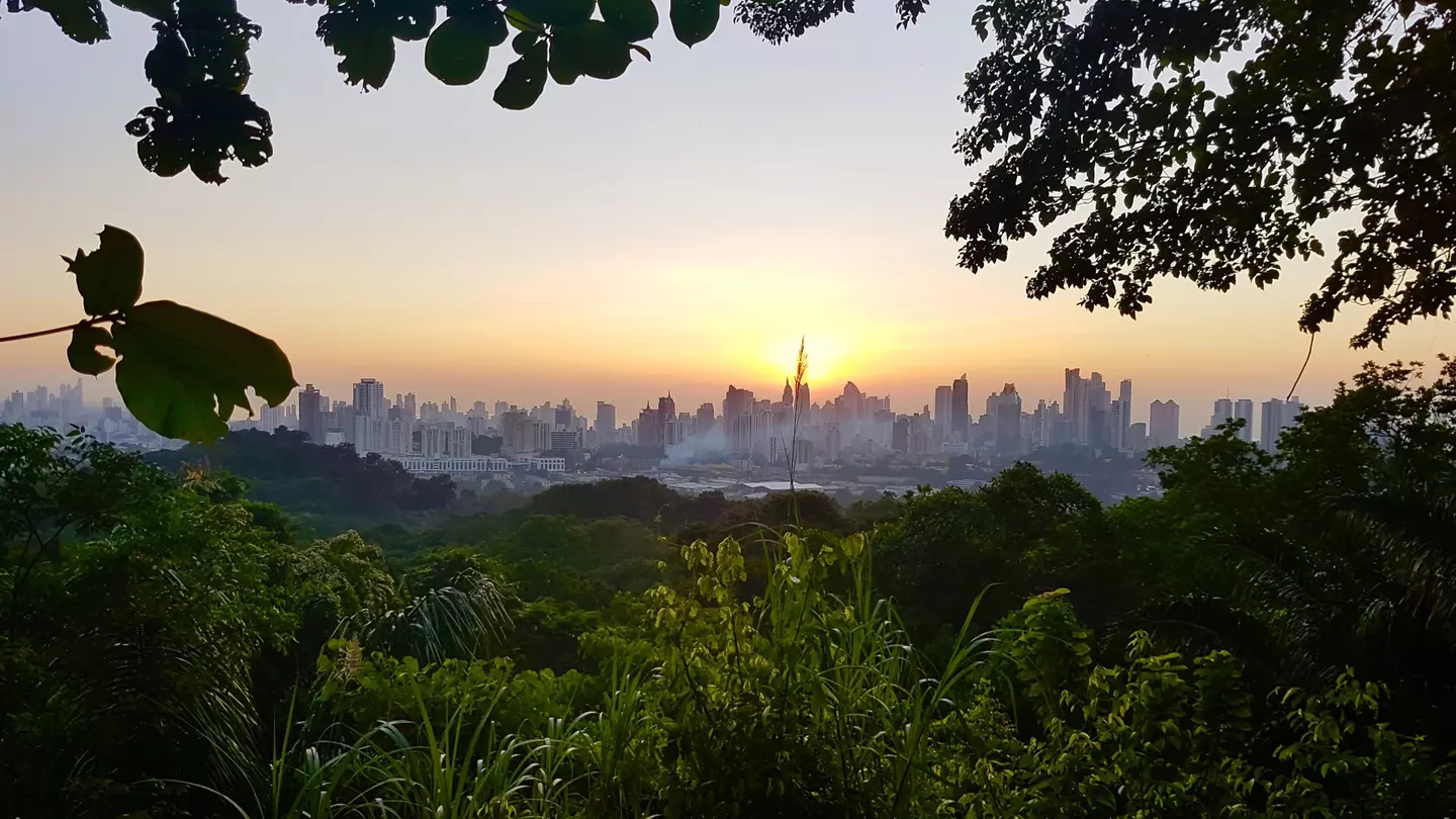 View of the buildings of Panama City from Parque Natural Metropolitano