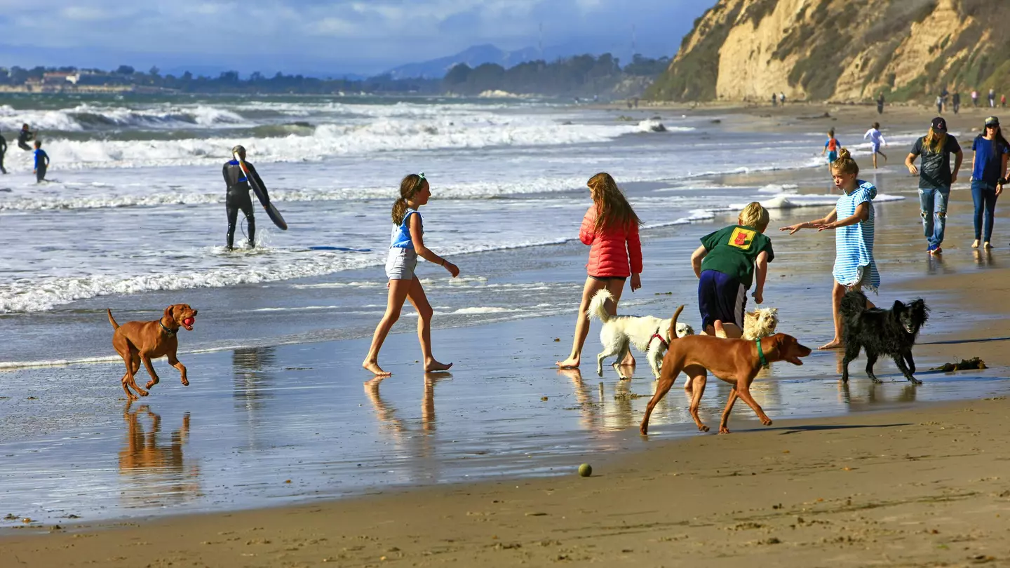 Children and their dogs enjoy the surf at Hendry's Beach, Santa Barbara, CA