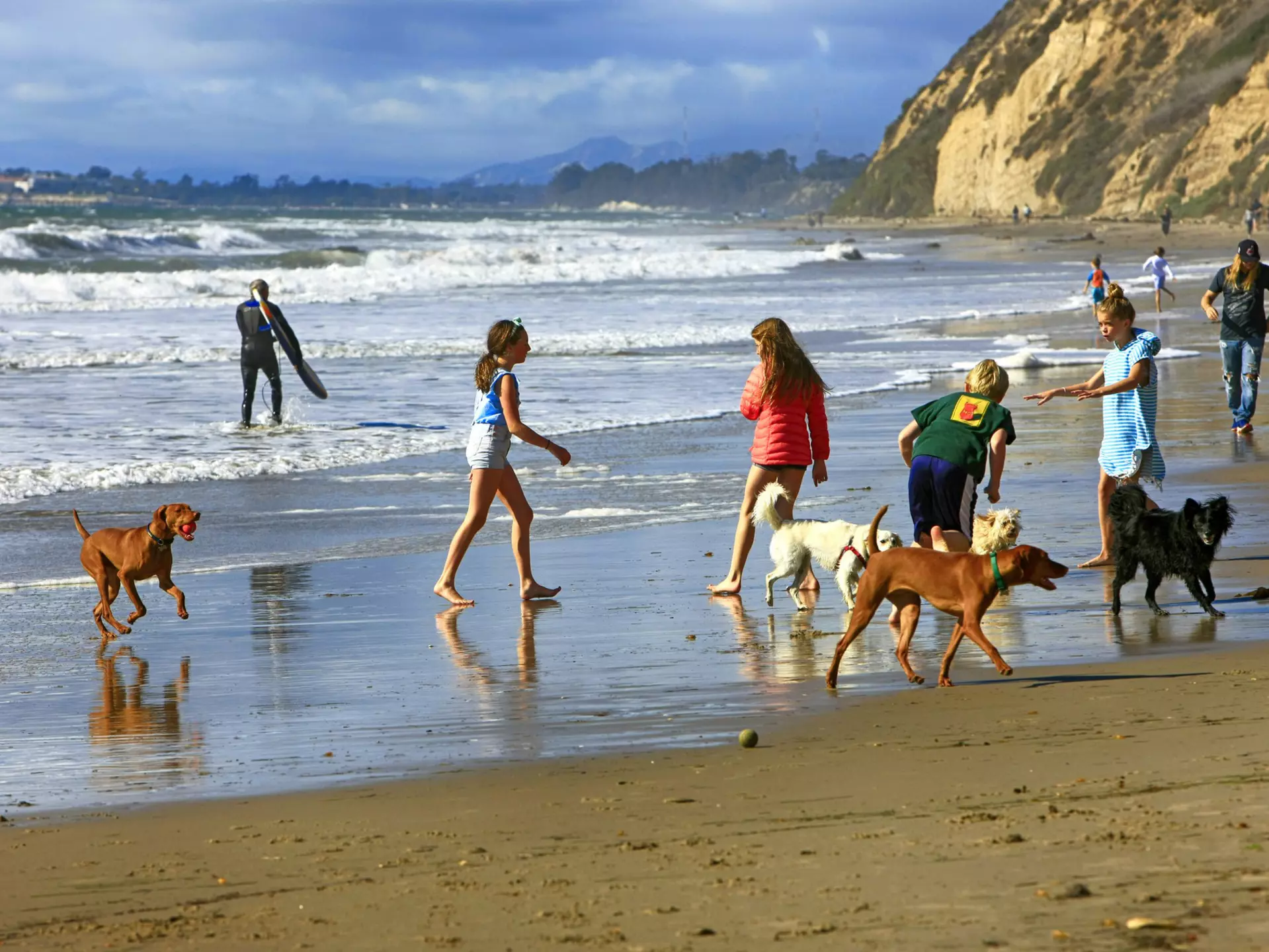 Children and their dogs enjoy the surf at Hendry's Beach, Santa Barbara, CA