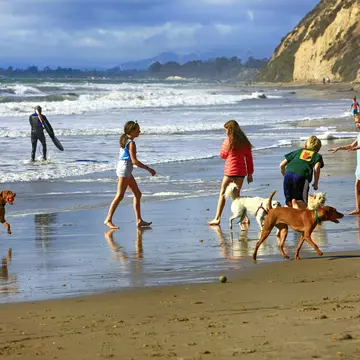Children and their dogs enjoy the surf at Hendry's Beach, Santa Barbara, CA