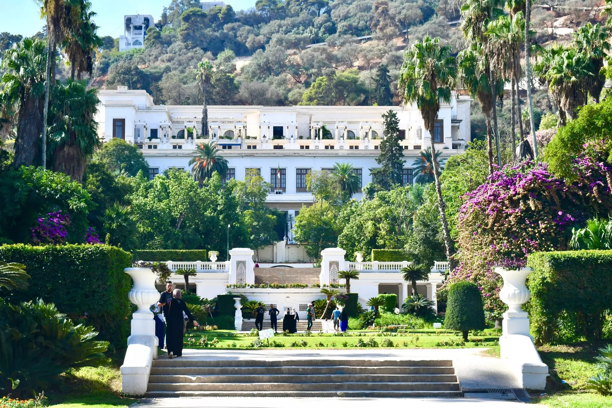 A staircase in a botanical garden that flows beautifully into the surrounding landscape. It's surrounded by tall trees, plants and a whitewashed building.