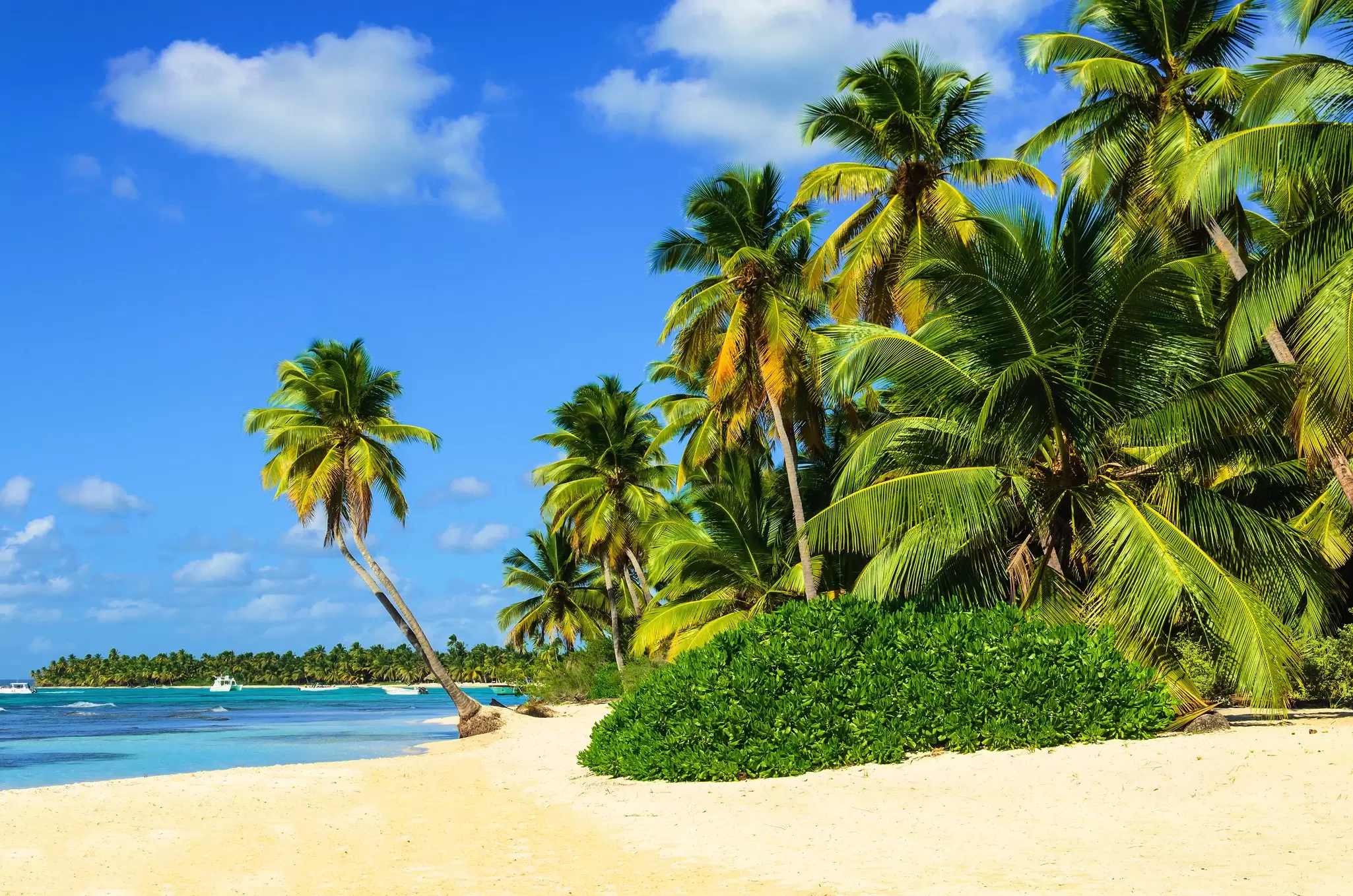 A tropical beach in the Dominican Republic