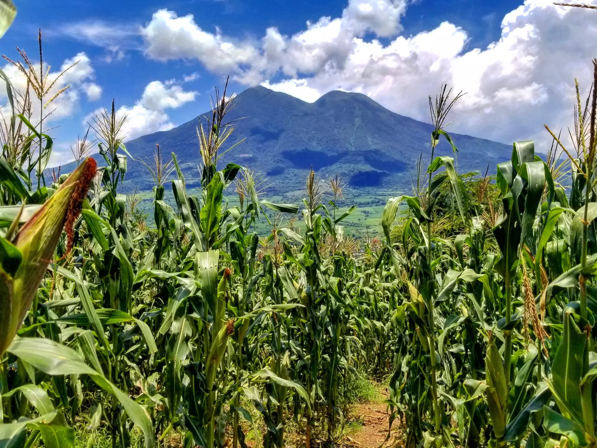 Volcán de San Vicente El Salvador. Joel.Hernandez95/Shutterstock