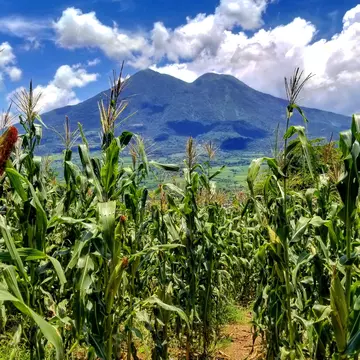 Volcán de San Vicente El Salvador. Joel.Hernandez95/Shutterstock