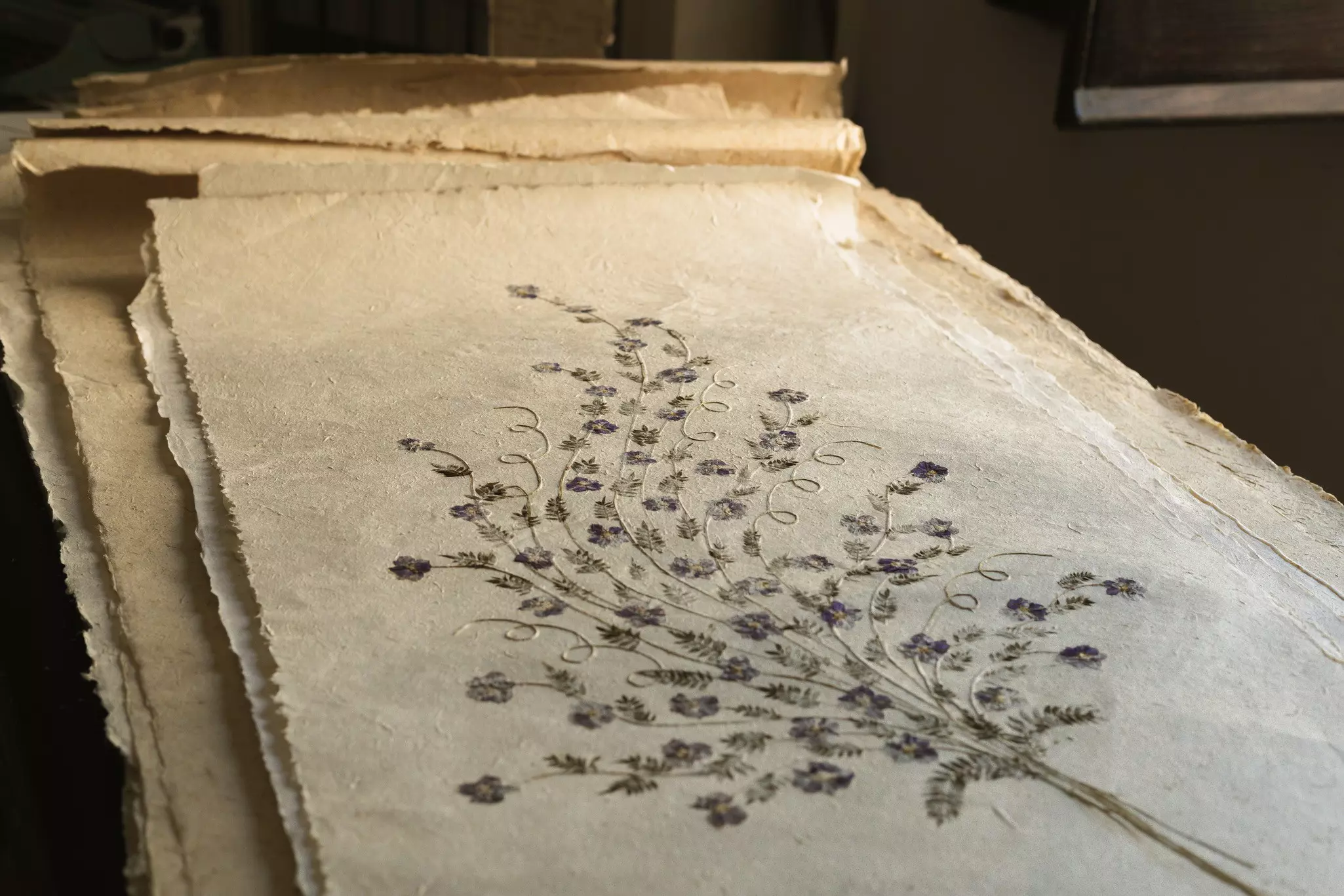 Flowers pressed into paper at the Museo della Carta, a museum featuring exhibits on the history & production of paper in Amalfi,  Italy. July 2025.