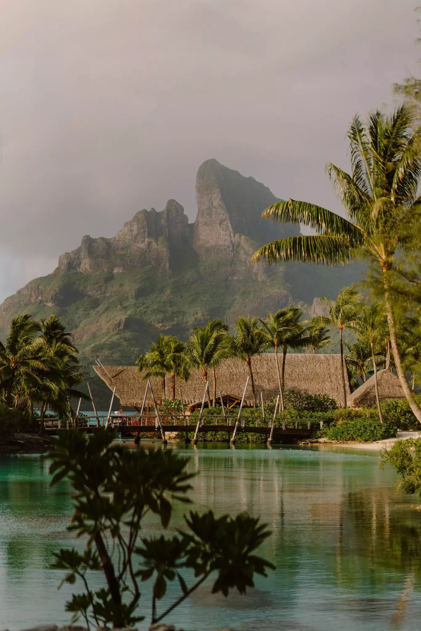 Tropical paradise with overwater bungalows, lush palm trees, and a stunning mountain backdrop in Bora Bora. Serene turquoise waters and luxurious island vibes create the ultimate getaway