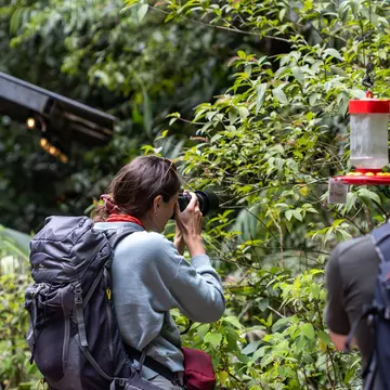 Monteverde, Costa Rica - May 7, 2023:Tourists taking pictures of a hummingbird in Monteverde, Costa Rica, License Type: media, Download Time: 2025-02-05T13:30:06.000Z, User: sashabrady26, Editorial: true, purchase_order: 65050 - Digital Destinations and Articles, job: Lonely Planet, client: Costa Rica itineraries, other: Sasha Brady