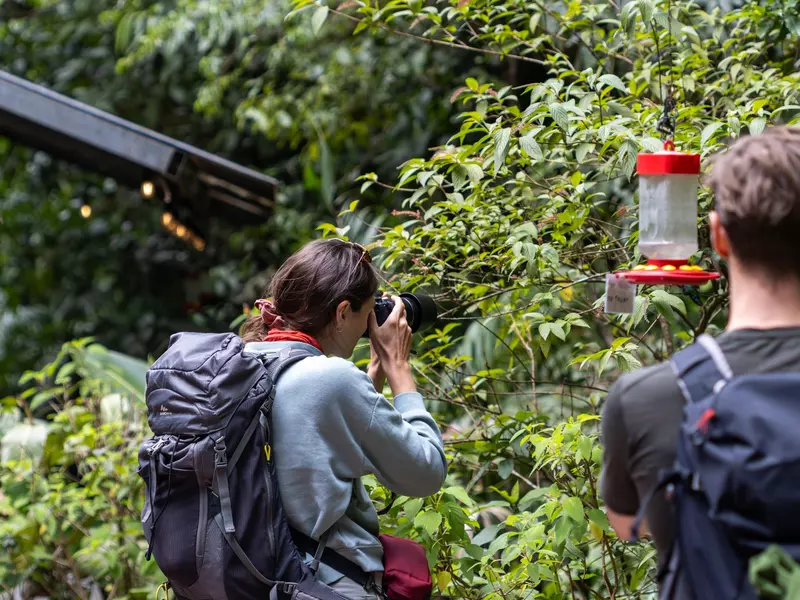 Tourists taking pictures of a hummingbird in Monteverde.