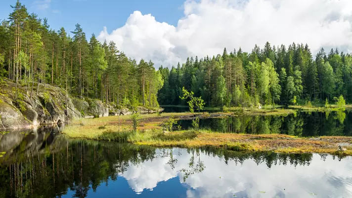 White clouds are reflected on a lake in a forest in Finland.