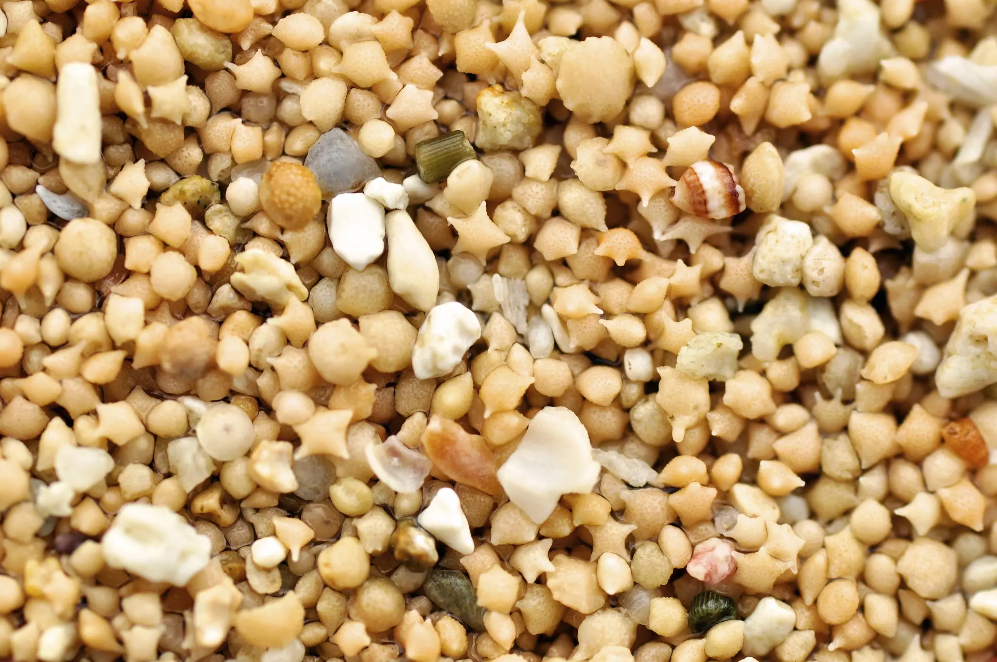 Actor Andrew Lincoln holds a sign that says 'to me you are perfect' in an iconic scene from Love Actually